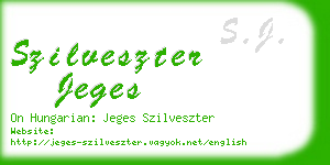 szilveszter jeges business card